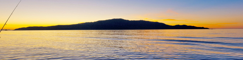 kapiti-island